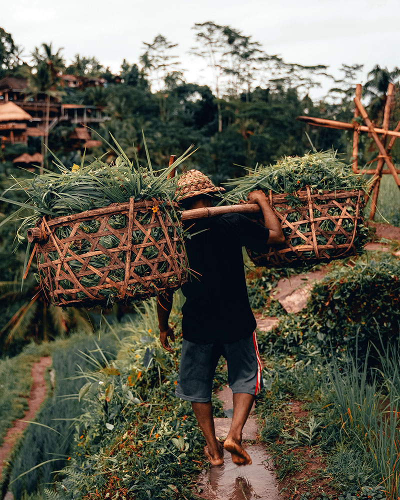 Hasır Bambu Rattan