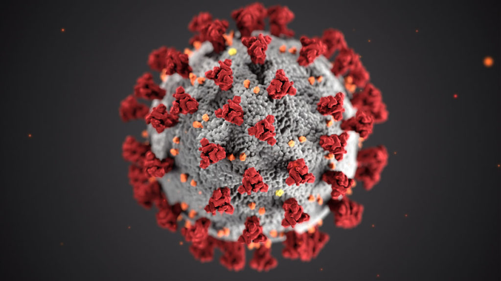 Corona Virüs
