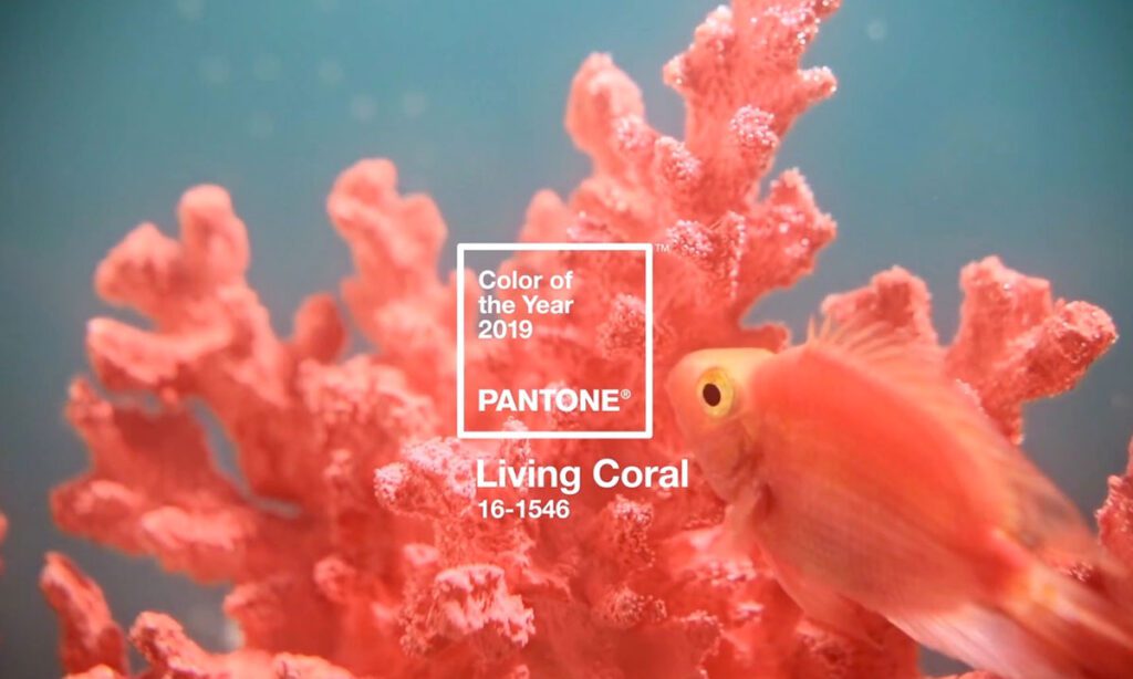 pantone-color-of-the-year-2019-yilin-rengi-living-coral