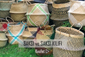 Saksı & Saksı Kılıfı