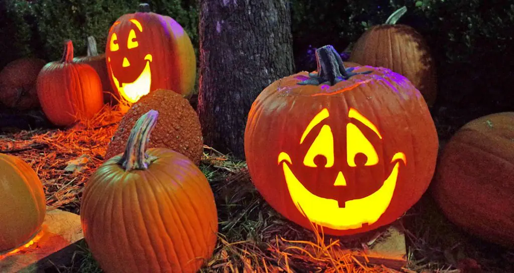 Bal Kabağı ve Cadılar Bayramı