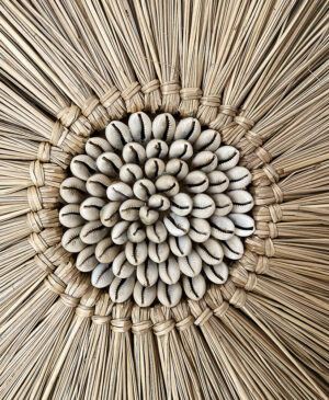 Nerites Deniz Sazı Kabuklu Duvar Dekoru