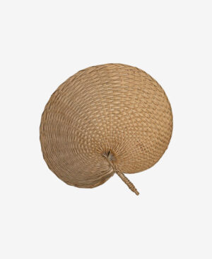 Vagitanos Dekoratif Yelpaze Deniz Sazı Duvar Dekoru