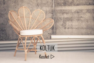Koltuk & Sandalye
