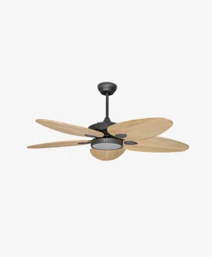 did Galata Aydınlatmalı Ahşap Antrasit Tavan Vantilatörü